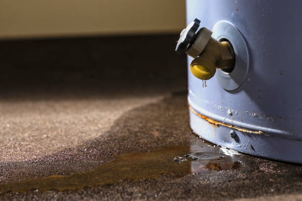 Best Residential water damage restoration  in Gananda, NY