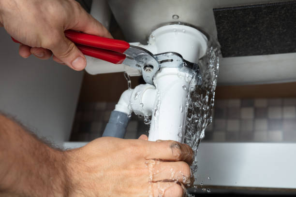 Best Professional water damage repair  in Gananda, NY