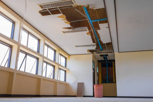 Best Basement water damage restoration  in Gananda, NY