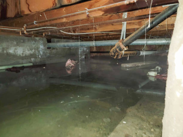 Best Water damage restoration company  in Gananda, NY