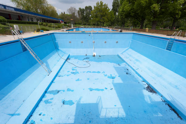 Best Water damage contractors near me  in Gananda, NY