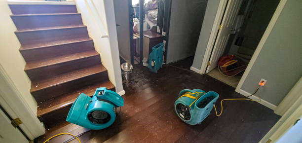 Best Water damage cleanup near me  in Gananda, NY