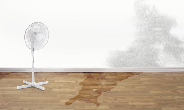 Best Flood restoration services  in Gananda, NY