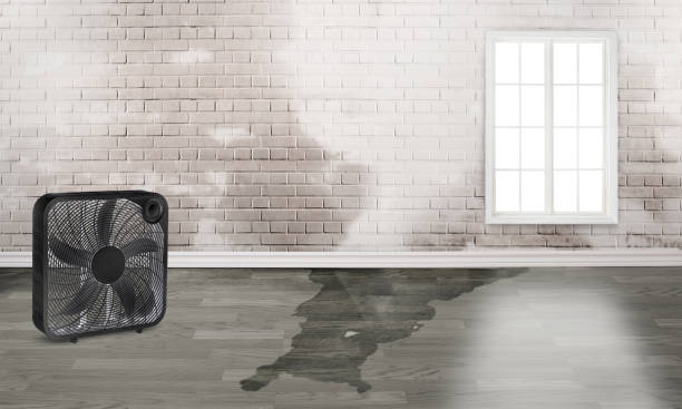 Best Commercial water damage restoration  in Gananda, NY