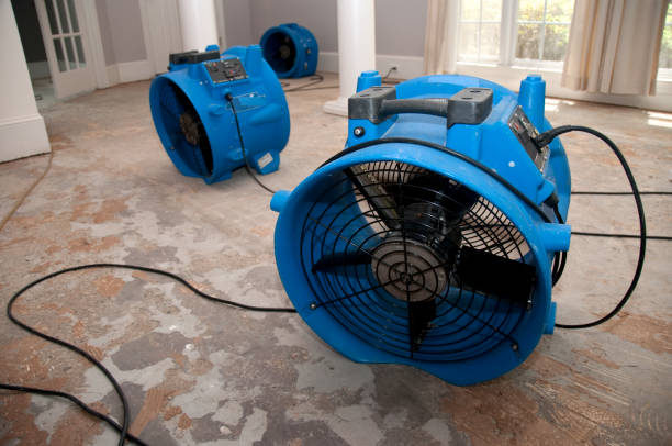 Best Local water damage restoration  in Gananda, NY