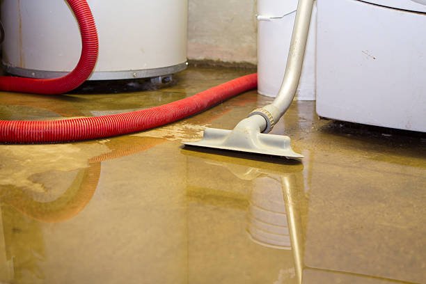 Best 24/7 water damage repair  in Gananda, NY