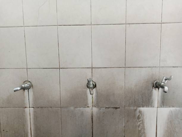 Best Water damage restoration near me  in Gananda, NY