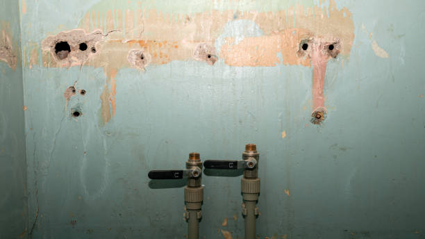 Best Basement water damage restoration  in Gananda, NY