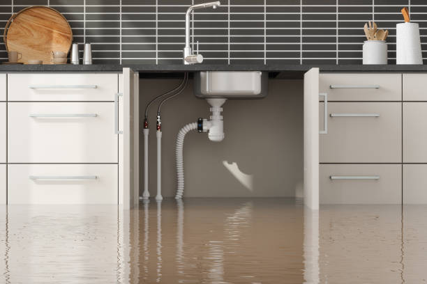  Gananda, NY Water damage restoration Pros